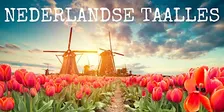 Nederlandse taalles