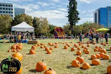 Volunteer at Pumpkins in the Park 2026