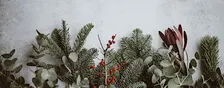 Let's Take Back the Holidays!