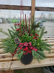 Winter Porch Pot - Sun 11/29