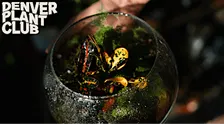 Terrarium Workshop with Denver Plant Club (10/17/26)