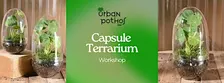 Glass Capsule Terrarium Workshop