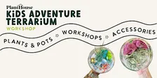 Kids Adventure Terrarium Workshop