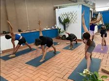 FLOW YOGA (Shala/Rooftop )