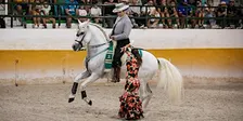 Espectáculo ecuestre y flamenco en Málaga | Horse & Flamenco show in Malaga