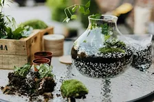 Terrarium Building Workshop in Asheville