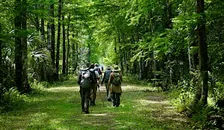 Hike the Loop!