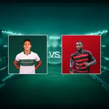 Coritiba Foot Ball Club Vs Clube De Regatas Do Flamengo Campeonato Brasileiro Serie A