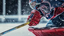 Grand Rapids Griffins vs. Rockford IceHogs