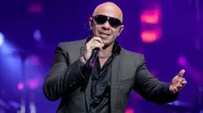 Pitbull
