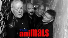 The Animals (UK) - The House Of The Rising Sun Tour