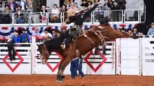 FWSSR: Bulls Night Out