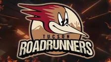 Tucson Roadrunners vs. Calgary Wranglers