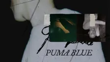 Puma Blue