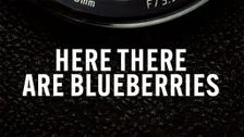 Here There Are Blueberries