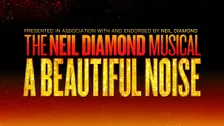 A Beautiful Noise