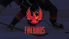 Coachella Valley Firebirds vs. Ontario Reign: Opening Night