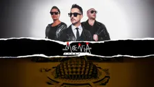 Moenia