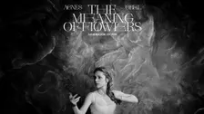 Agnes Obel