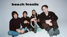 Beach Fossils
