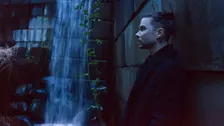 SEVEN LIONS