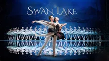 United European Ballet Company - Swan Lake