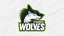 Varsity Volleyball: Algonquin Wolves vs. Georgian Grizzlies