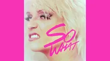 SO WHAT (B) Tribute to PINK