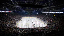 Belfast Giants V Guildford Flames