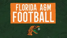 Florida A&M Rattlers vs. Arkansas-Pine Bluff Golden Lions Football