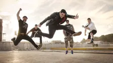 Zebrahead