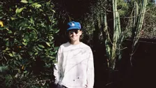 gnash