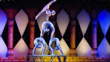 CIRQUE DU SOLEIL - OVO - OVO