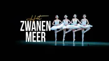 HET ZWANENMEER
