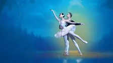 Swan Lake
