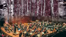Ravel, Janacek, and Illustrating Sound