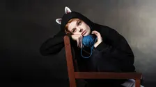 Indoor Cats (CBT)