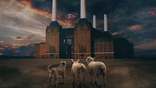 BRIT FLOYD - ANIMALS 50