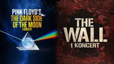 The Dark Side of The Moon & The Wall - In Concert