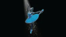Grand Kyiv Ballet: Swan Lake Symphony Of Lights