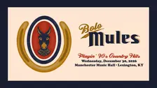 Bolo Mules - Playin' 90's Country Hits
