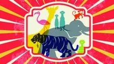 North Carolina Symphony - Carnival Of The Animals