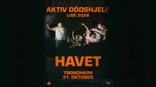 Aktiv Dödshjelp + support SKULK