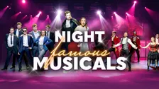 Night of Famous Musicals