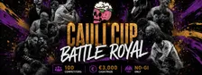Caulicup’s BATTLE ROYAL