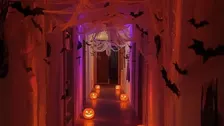 SUNDS HALLOWEEN FEST