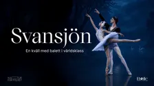 Svansjön - en kväll med balett i världsklass