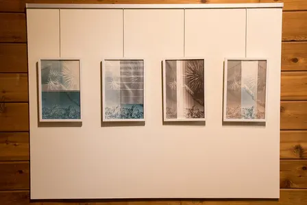 Itinerari "Sota el parc de Joan Miró"