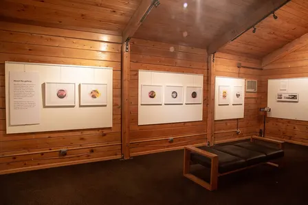 Pokemon Fossil Museum