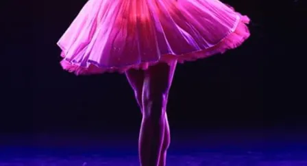 Ballet of Lights: Sleeping Beauty in a Sparkling Show